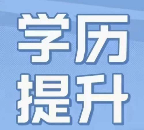 屏幕快照 2024-07-04 11.36.46.jpg